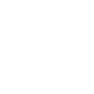 Stove icon