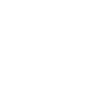 Light bulb icon