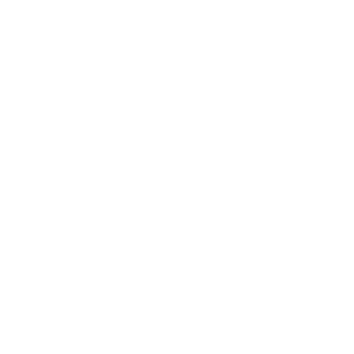 Light bulb icon